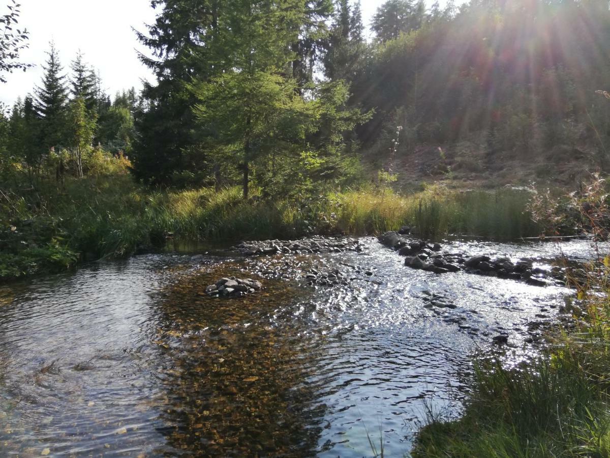 Apartment Zama Štrbské Pleso Dış mekan fotoğraf